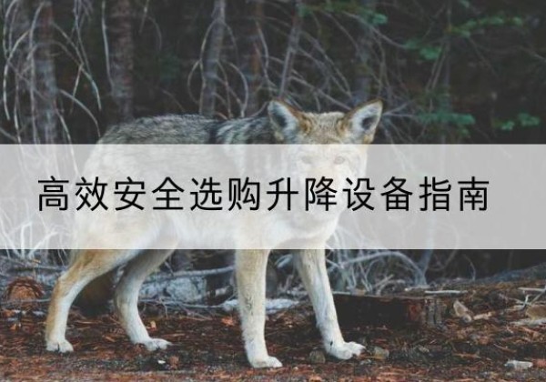 博湖升降货梯厂家推荐-*安全选购升降设备指南