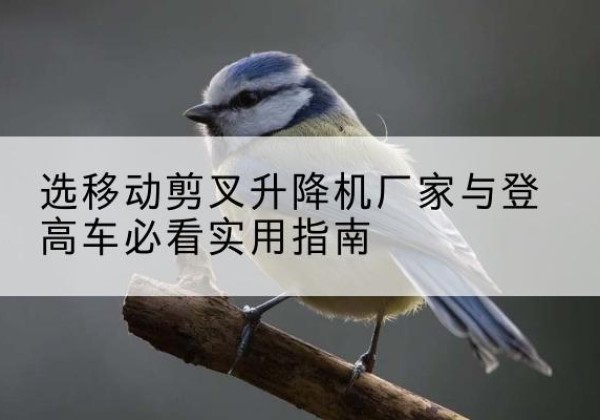 博湖电动升降机厂家-选移动剪叉升降机厂家与登高车必看实用指南
