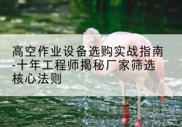 博湖剪叉式升降机厂家-高空作业设备选购实战指南-十年工程师揭秘厂家筛选核心法则